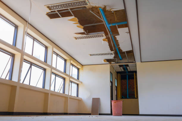 Best Flooded house restoration  in Farmington, IL
