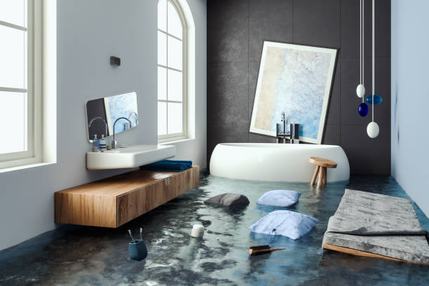 Best Basement water damage restoration  in Farmington, IL