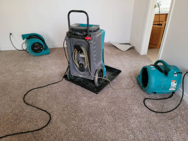 Best Fire Damage Restoration  in Farmington, IL