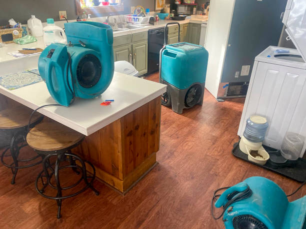 Best Flooded house restoration  in Farmington, IL
