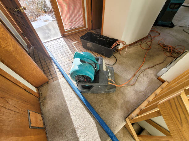 Best Residential water damage restoration  in Farmington, IL