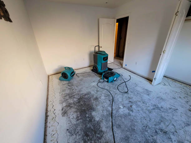 Best 24-hour water damage restoration  in Farmington, IL