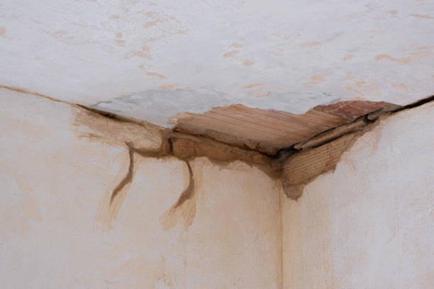 Water damage restoration experts in Farmington, IL