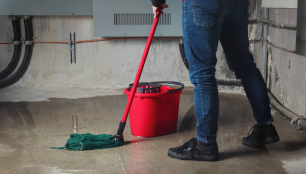 Best Flooded house restoration  in Farmington, IL