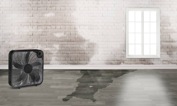  Farmington, IL Water damage restoration Pros