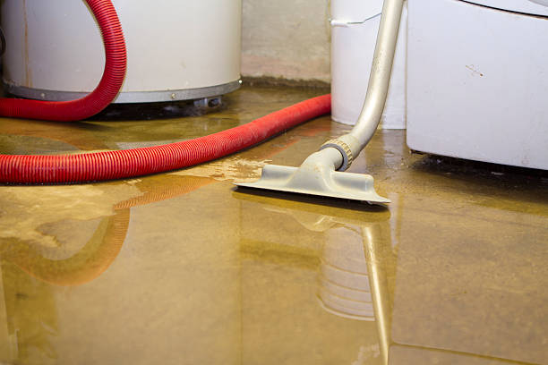 Best Flood restoration services  in Farmington, IL