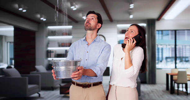 Best Emergency water damage restoration  in Farmington, IL