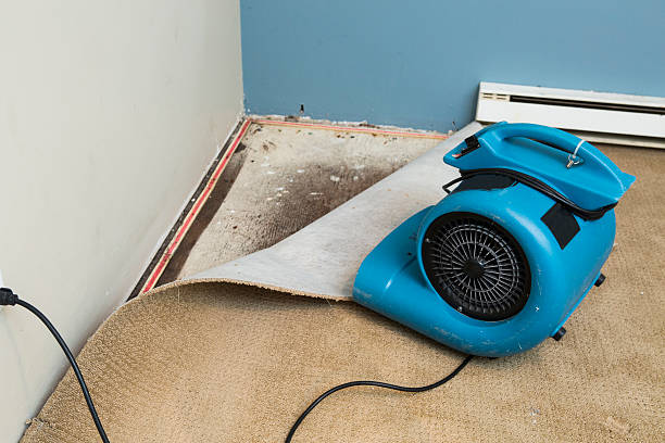 Professional Water damage restoration in Farmington, IL