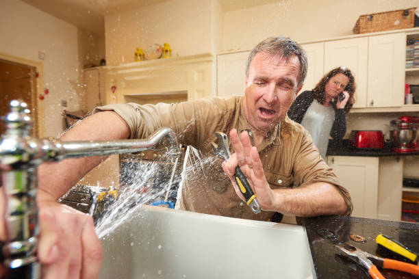 Best Ceiling water damage repair  in Farmington, IL